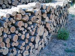 images_6.jpg